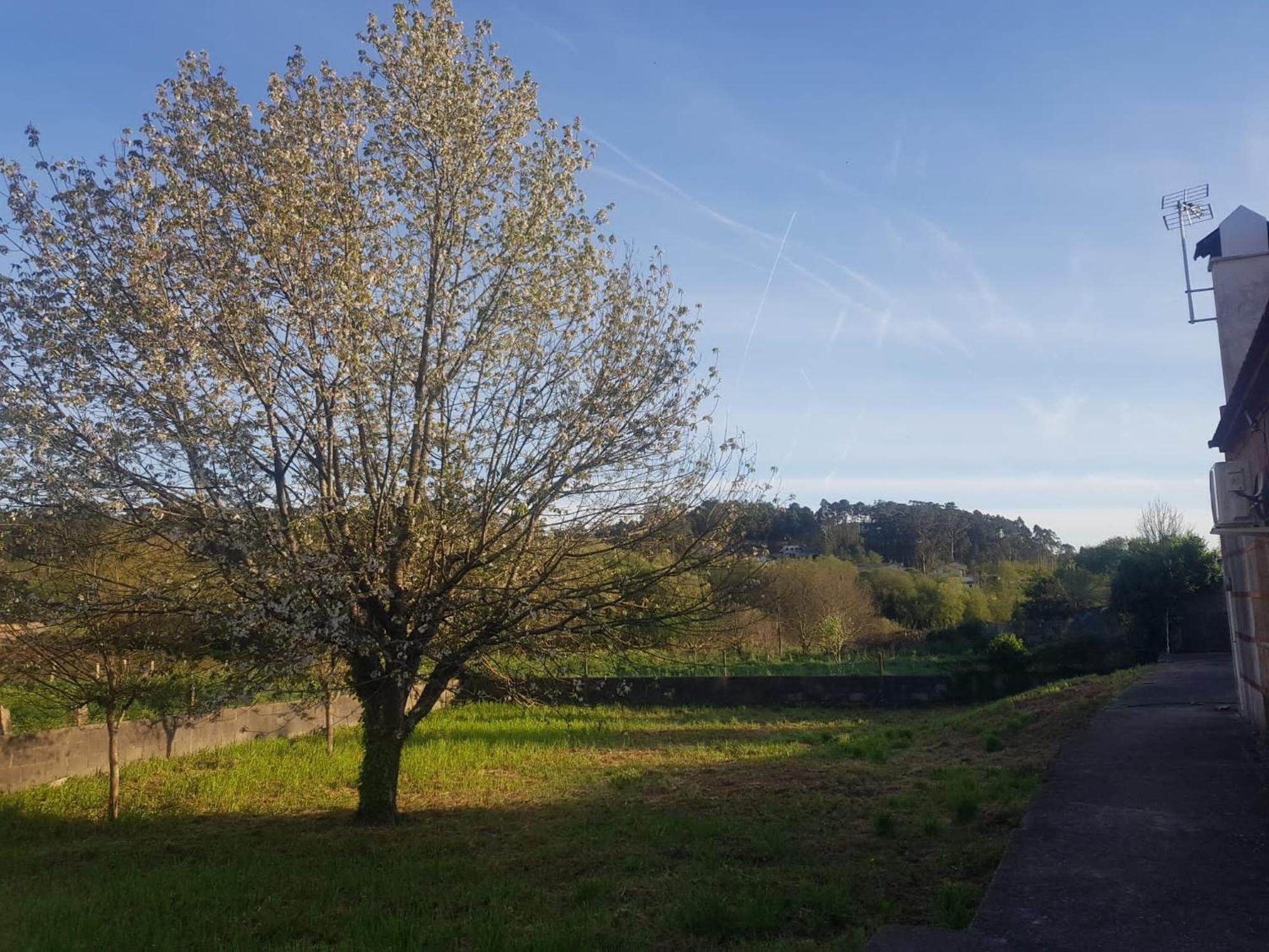 Casa La Porrinesa Villa Porriño Eksteriør billede